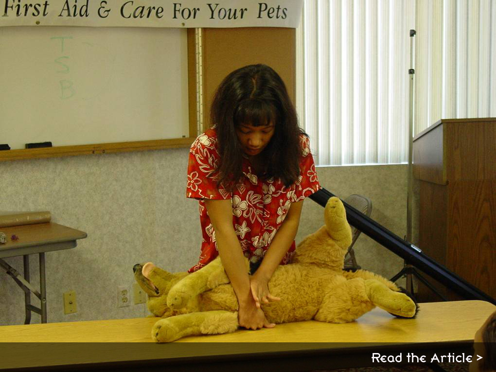 Pet First Aid and CPR Class Aloha Pet Services
