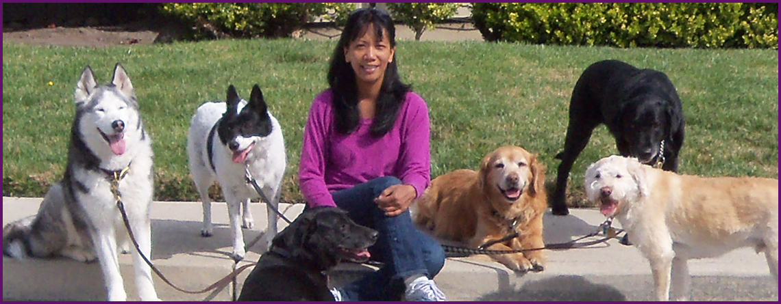 Sabrina with dogs on walk, Aloha Pet Services